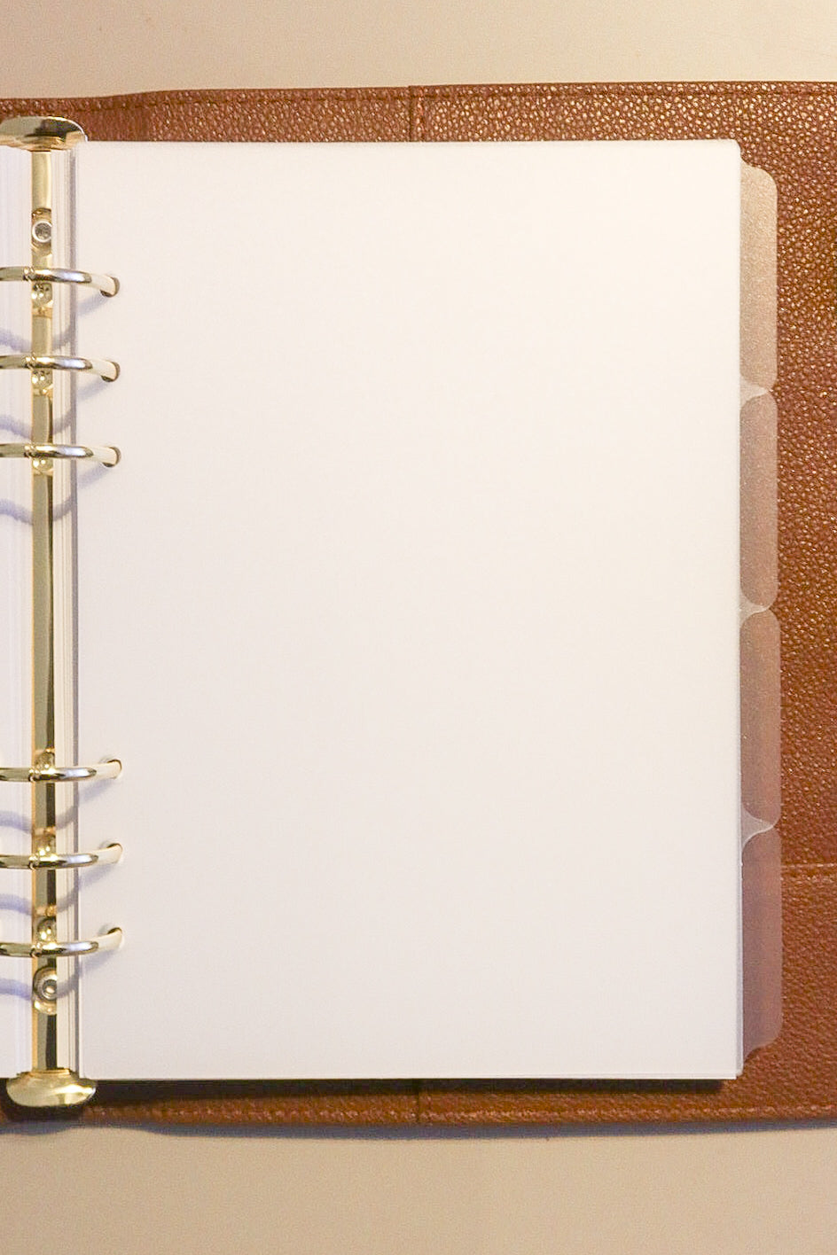 Blank Frosted Side Tab Dividers | Set of 4